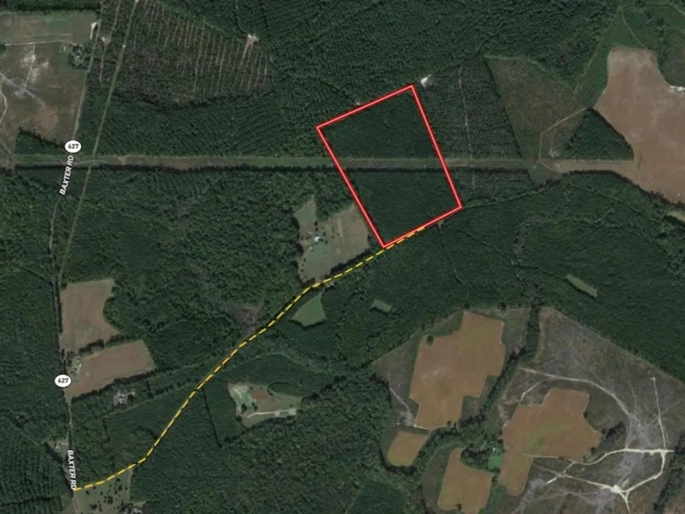 25 Deeded Acres of Timberland For Sale in Sussex County VA featured image