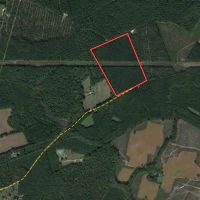 25 Deeded Acres of Timberland For Sale in Sussex County VA