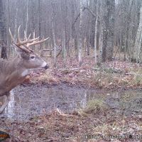 Monster 10 pt day