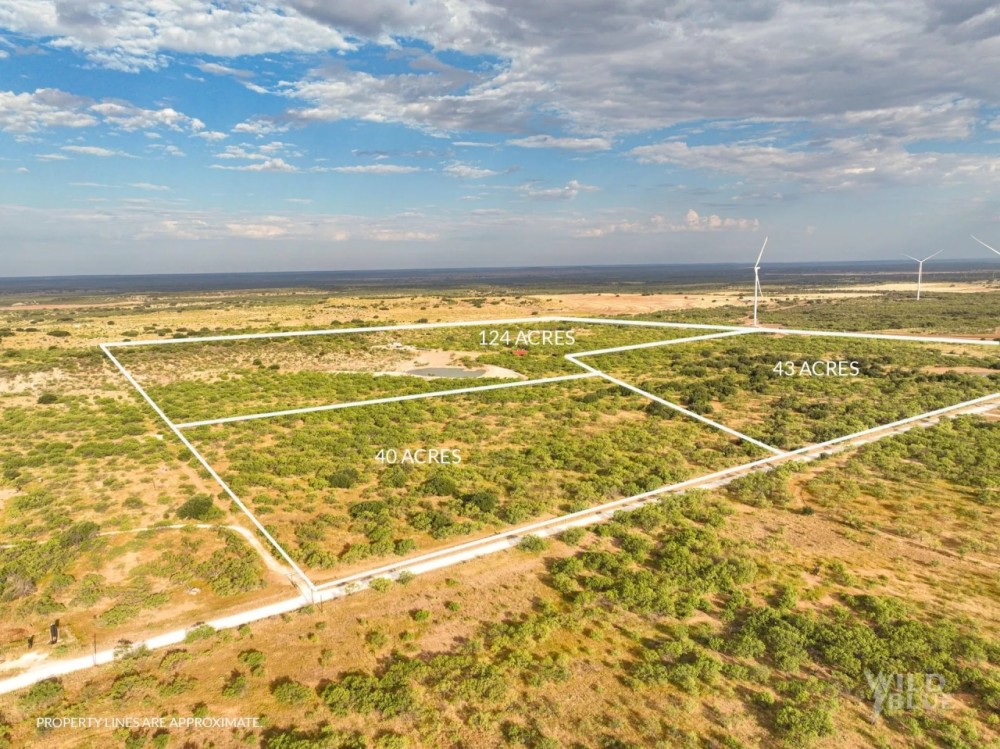 Price Improvement 40 - Acres Callahan County featured image