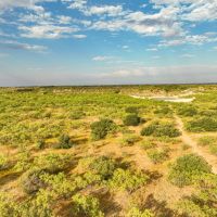 Price Improvement 40 - Acres Callahan County images 2