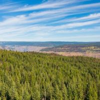 Sled Springs Hunting Ranch images 3