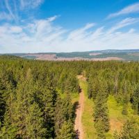 Sled Springs Hunting Ranch images 4