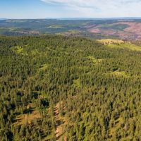 Sled Springs Hunting Ranch images 5