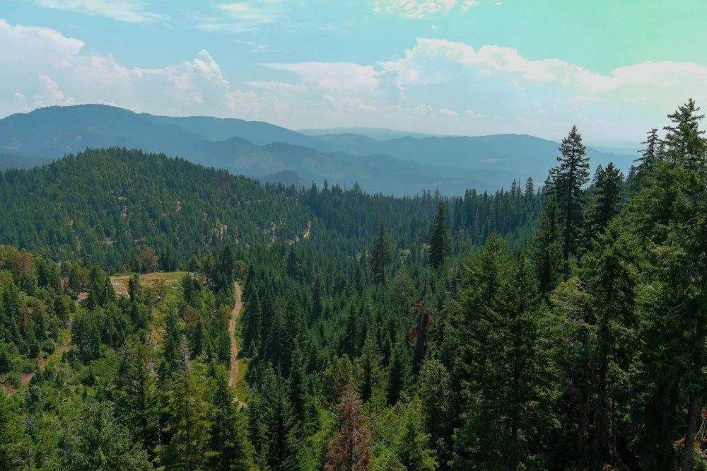 Elk Creek 474 acres featured image