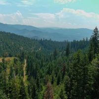 Elk Creek 474 acres