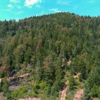 Elk Creek 474 acres images 2