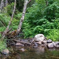 Elk Creek 474 acres images 3