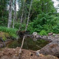 Elk Creek 474 acres images 4