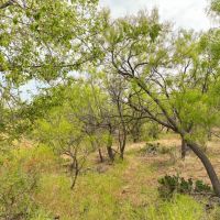 Price Improvement 43 - Acres Callahan County