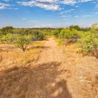 Price Improvement 43 - Acres Callahan County images 4