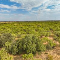 Price Improvement 43 - Acres Callahan County images 5