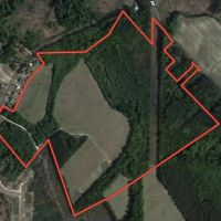 151.57 Acres of Farmland and Investment Land with a Cabin For Sale in Cumberland County NC