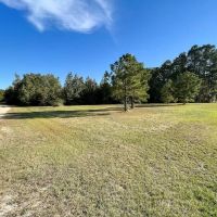 151.57 Acres of Farmland and Investment Land with a Cabin For Sale in Cumberland County NC images 3