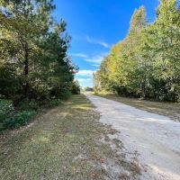 151.57 Acres of Farmland and Investment Land with a Cabin For Sale in Cumberland County NC images 4
