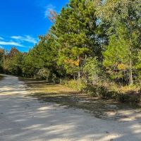 151.57 Acres of Farmland and Investment Land with a Cabin For Sale in Cumberland County NC images 5