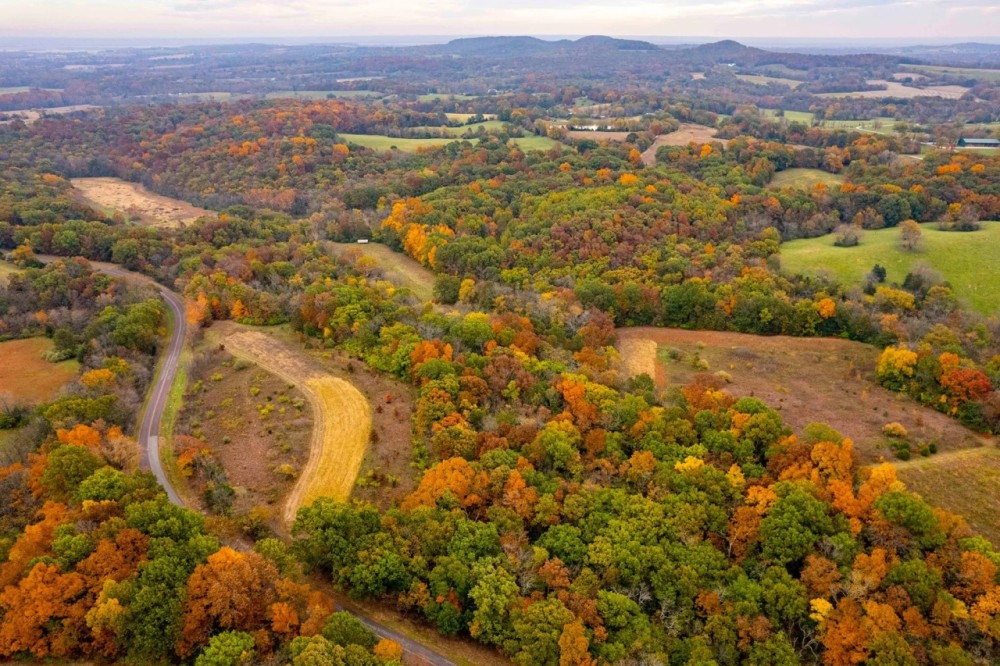 39.77 Surveyed Acres Northern Lincoln County Hunting Property for Sale featured image