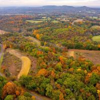 39.77 Surveyed Acres Northern Lincoln County Hunting Property for Sale