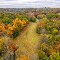 39.77 Surveyed Acres Northern Lincoln County Hunting Property for Sale images 2