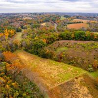 39.77 Surveyed Acres Northern Lincoln County Hunting Property for Sale images 3