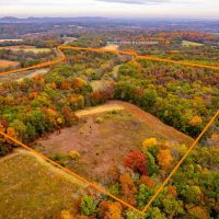 39.77 Surveyed Acres Northern Lincoln County Hunting Property for Sale images 4