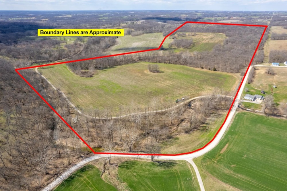 Excellent 154 Acre Hunting Property for Sale - Lincoln featured image