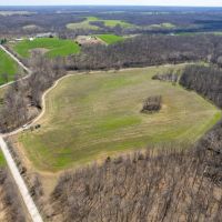 Excellent 154 Acre Hunting Property for Sale - Lincoln images 2