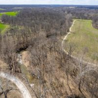Excellent 154 Acre Hunting Property for Sale - Lincoln images 3