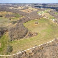 Excellent 154 Acre Hunting Property for Sale - Lincoln images 4