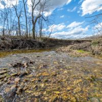 Excellent 154 Acre Hunting Property for Sale - Lincoln images 5