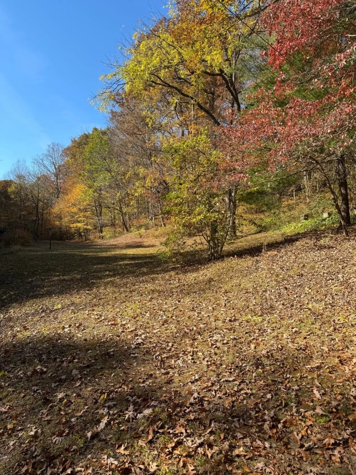 113 Acres Pulaski County KY featured image