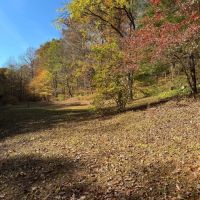 113 Acres Pulaski County KY