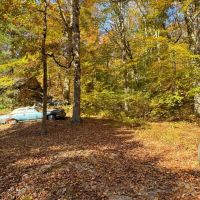 113 Acres Pulaski County KY images 2