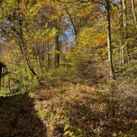 113 Acres Pulaski County KY images 3