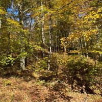 113 Acres Pulaski County KY images 4