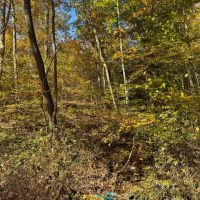 113 Acres Pulaski County KY images 5
