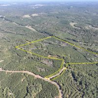 145 Acres County Road 1060 T-5 images 1