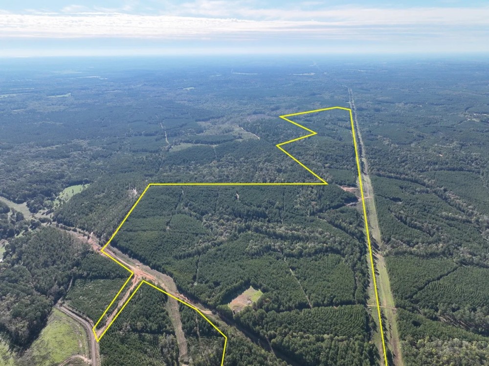 290 Acres County Road 1090 T-3 featured image