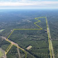 290 Acres County Road 1090 T-3