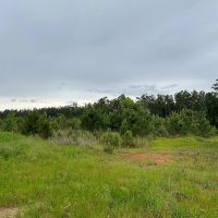 290 Acres County Road 1090 T-3 images 3