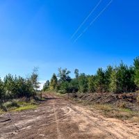 290 Acres County Road 1090 T-3 images 5