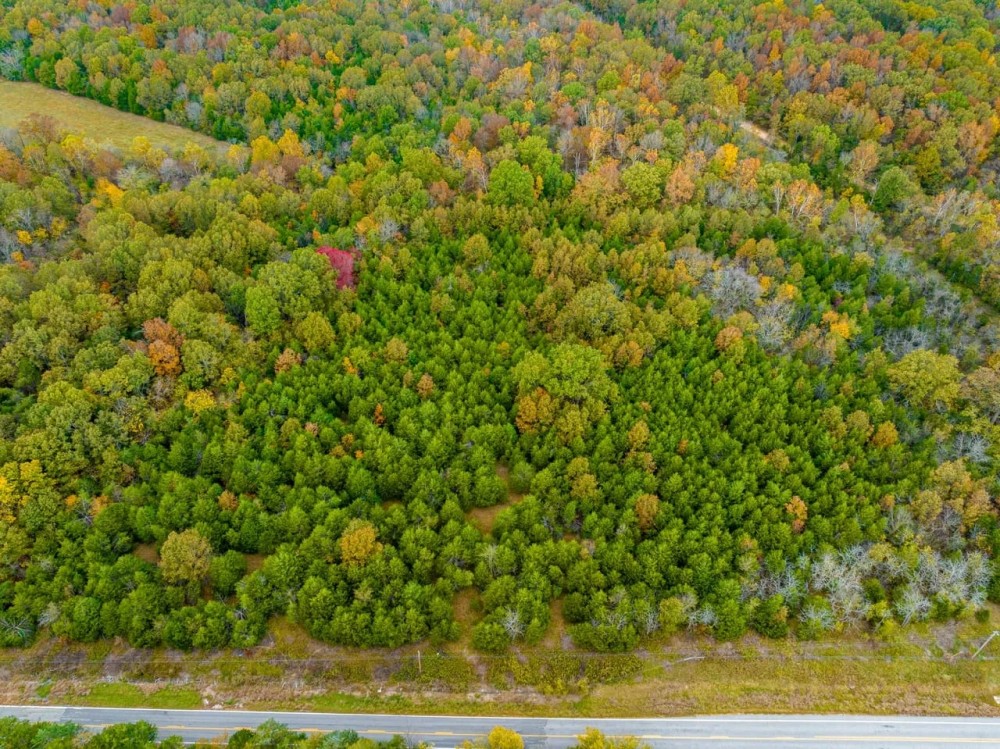 11.5 - Acres on Hwy 58 Sharp County Arkansas featured image
