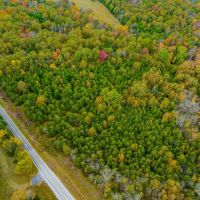 11.5 - Acres on Hwy 58 Sharp County Arkansas images 2