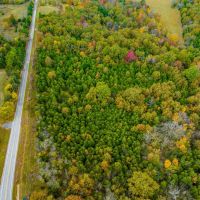 11.5 - Acres on Hwy 58 Sharp County Arkansas images 3
