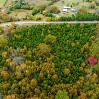 11.5 - Acres on Hwy 58 Sharp County Arkansas images 4