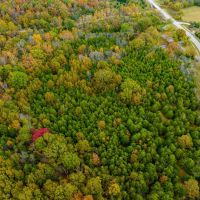11.5 - Acres on Hwy 58 Sharp County Arkansas images 5