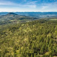 Mount Baldy Ranch images 4