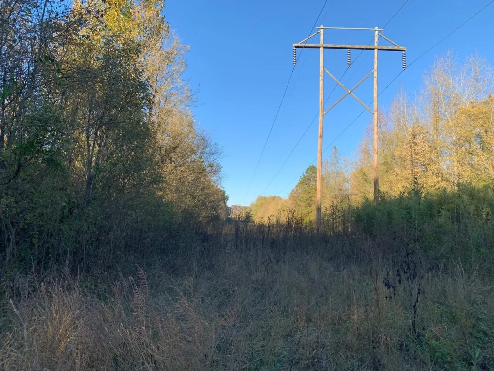 5 000 - Feet of Little Red River Frontage Pangburn featured image