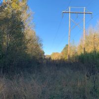 5 000 - Feet of Little Red River Frontage Pangburn
