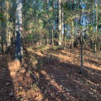 5 000 - Feet of Little Red River Frontage Pangburn images 2